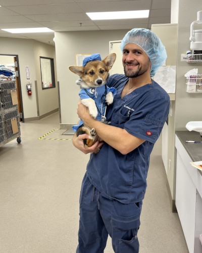 Dog with doctor