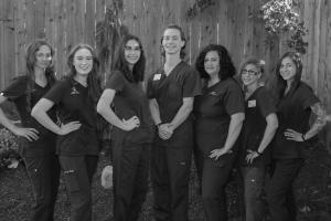 Technician Team  