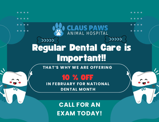 Dental Month Special